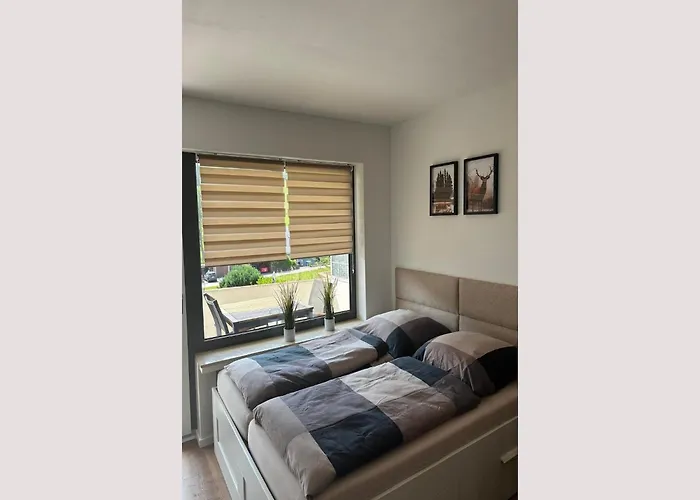 Modernes In Willingen-usseln 公寓 梅德巴赫